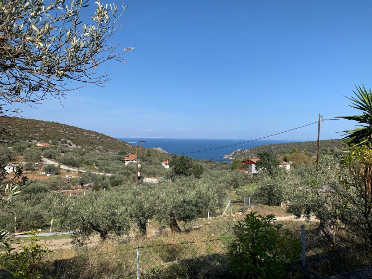 Villa Olive Hill Private House à Poros Town Extérieur photo