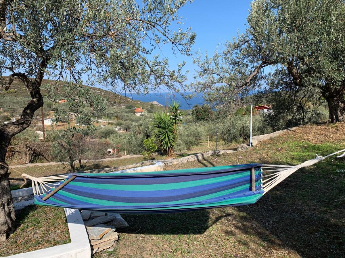 Villa Olive Hill Private House à Poros Town Extérieur photo