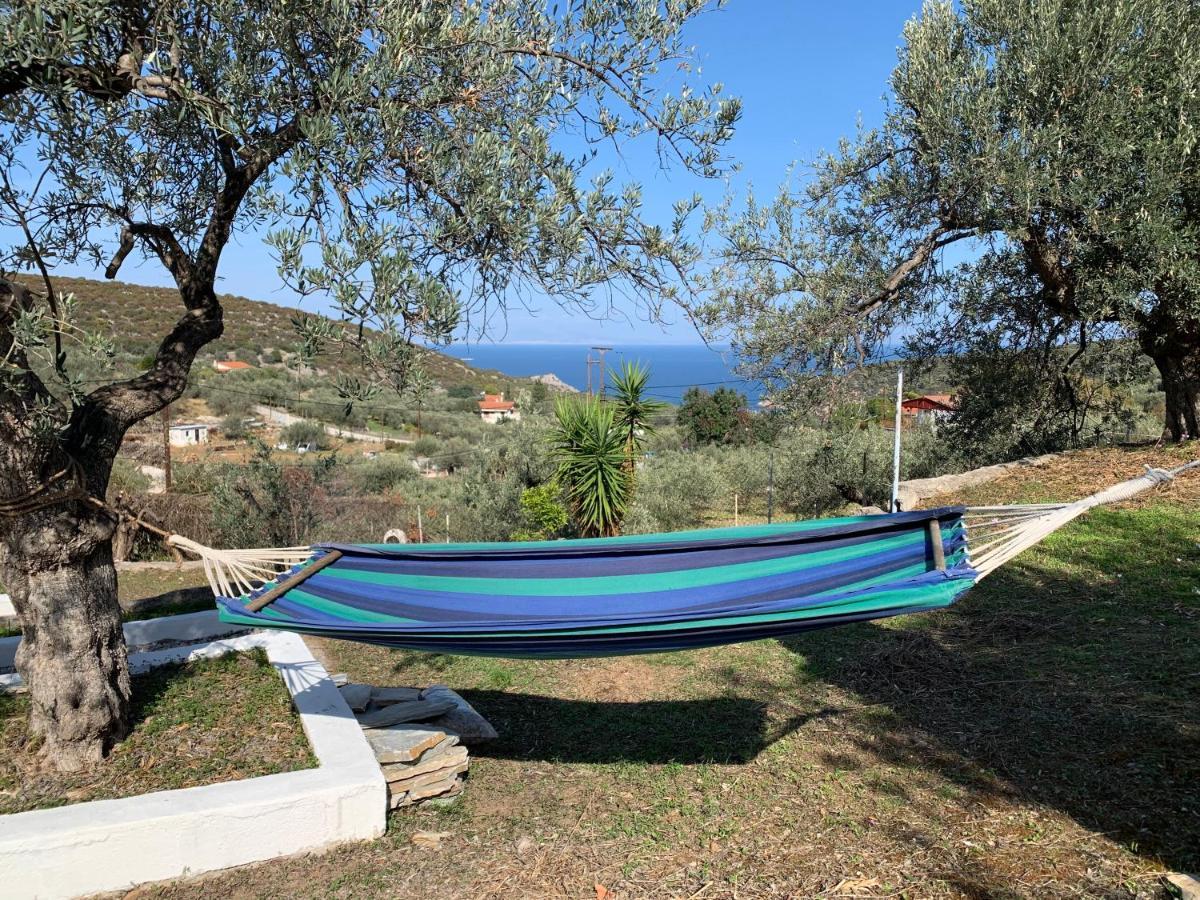 Villa Olive Hill Private House à Poros Town Extérieur photo