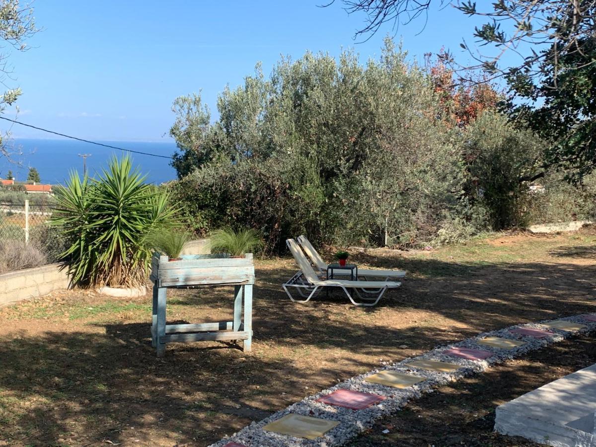 Villa Olive Hill Private House à Poros Town Extérieur photo