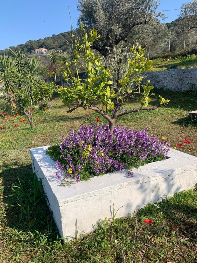 Villa Olive Hill Private House à Poros Town Extérieur photo