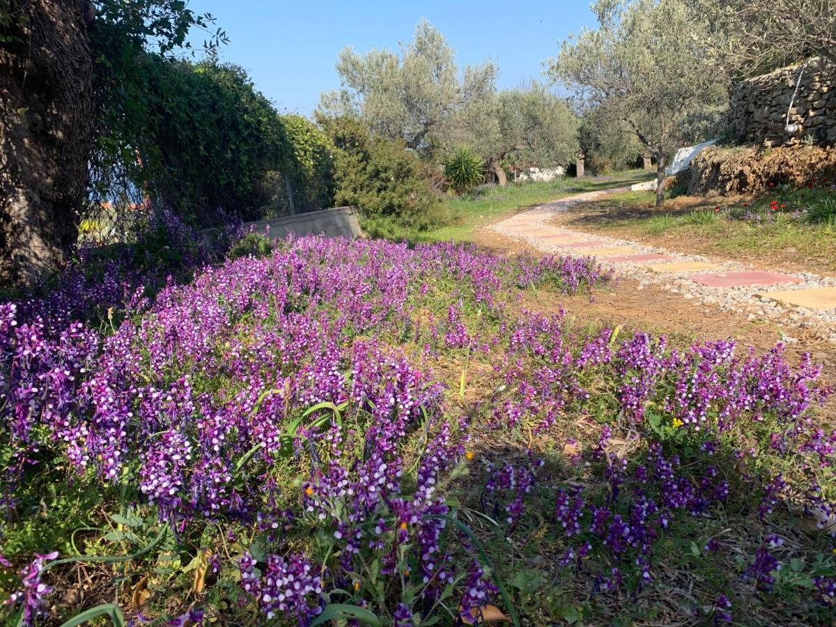 Villa Olive Hill Private House à Poros Town Extérieur photo